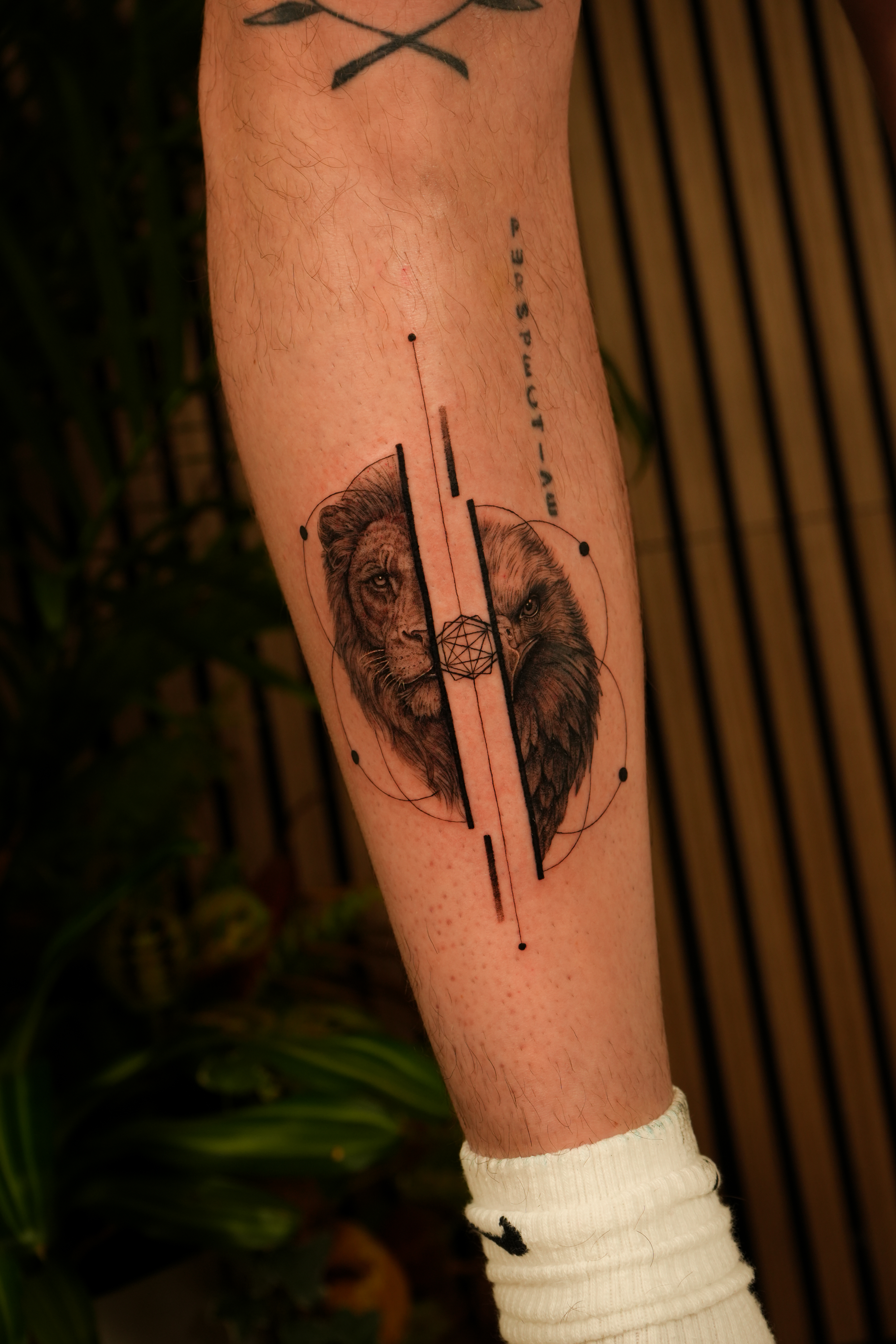 Lion split geometric forearm